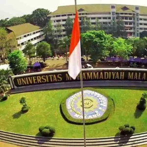 Asian and African Students Scholarship at University of Muhammadiyah Malang